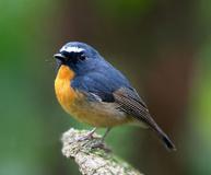 ���������l-�����񳣼�Ʒ��