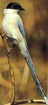 ��ϲȵ-�����񳣼�Ʒ��