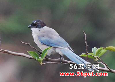 ��ϲȵ-�����񳣼�Ʒ��