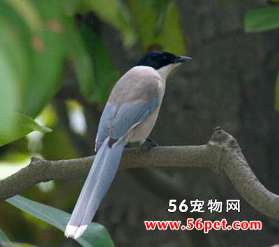 ��ϲȵ-�����񳣼�Ʒ��