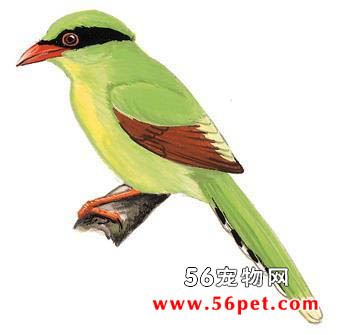 ӡ֧��ȵ-�����񳣼�Ʒ��