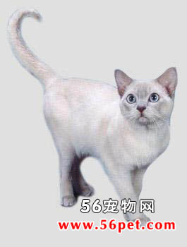 è-ëèƷ