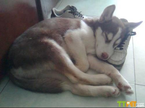 ������������ô�죬��ʲôҩ��