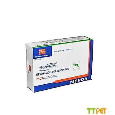 è�����Ƥ������ô��