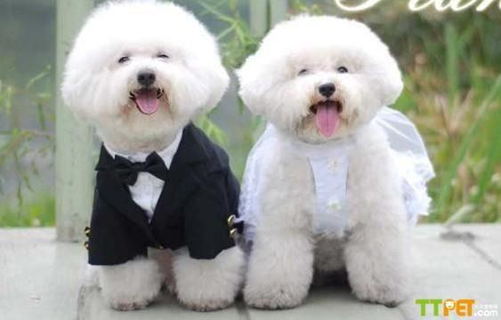 ����Ȯ��ѵ����