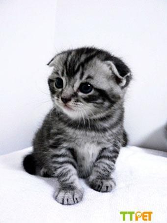 �۶�è���ֶ���Ǯ