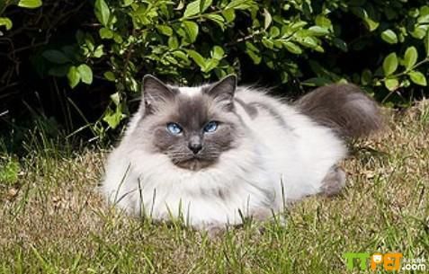 ��żèΪʲô��ô��