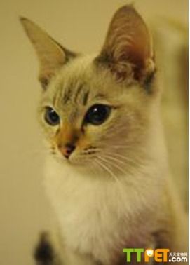 ���������è