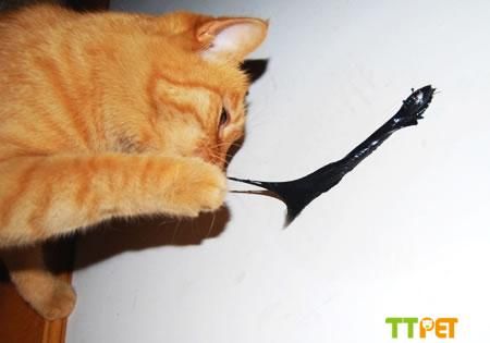 ����è��ץ������