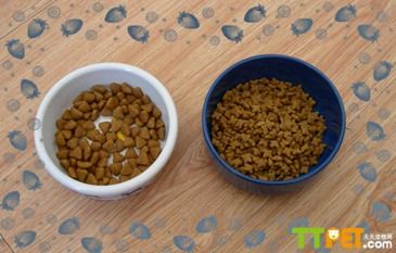 Ӣ����ëè��ʲôè����