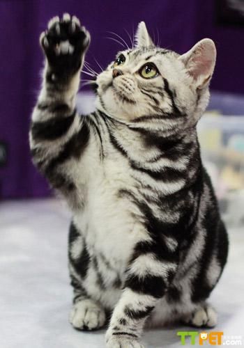 ������ëè��ë��