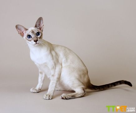 ������������è