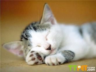 è�䲻���ѵ����զ��