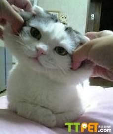 è�䲻���ѵ����ô��