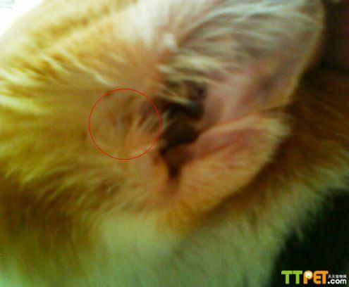 è������������