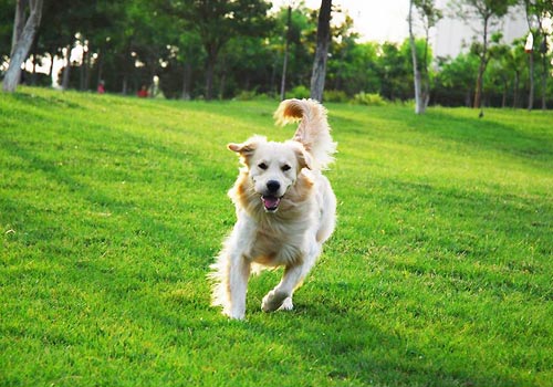 ��Щ�˲��ʺ�������-���������ĵ�