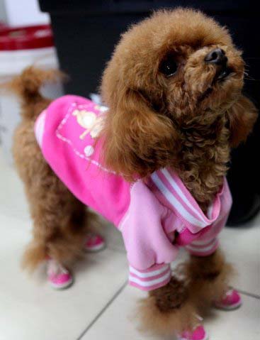 ����С�����Χ�ļ���-���������ĵ�