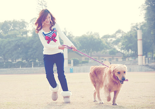 ������������Ӧ�е�������-���������ĵ�