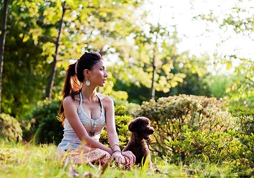 �ȫ�Ĺ�����ߣ�ë����-���������ĵ�