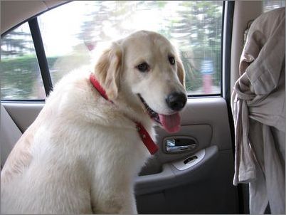 ���ڹ���������ע������-���������ĵ�