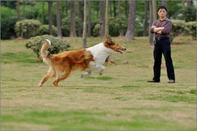 �ճ���Ȯ�����ļ�������-���������ĵ�