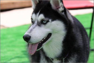 ����27��������ĺô�-���������ĵ�