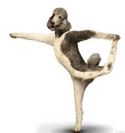 ��������������ʮ�㽨��-���������ĵ�