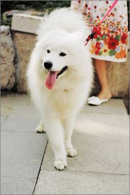 ��������ʳ�������һ�ݰ�-���������ĵ�