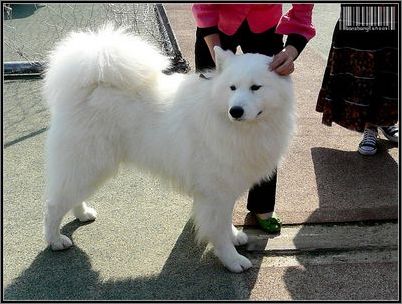 �ù�è�ڼ��к����ദ�İ취-���������ĵ�