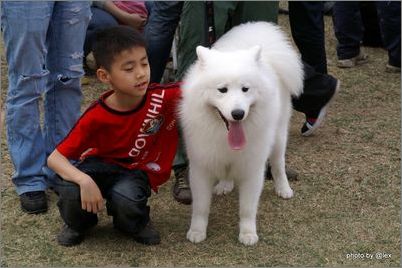 ��ֹ�������������˵ķ���-���������ĵ�