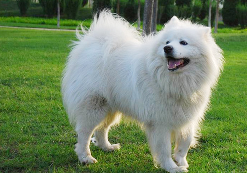 �������β���жϹ�������-���������ĵ�