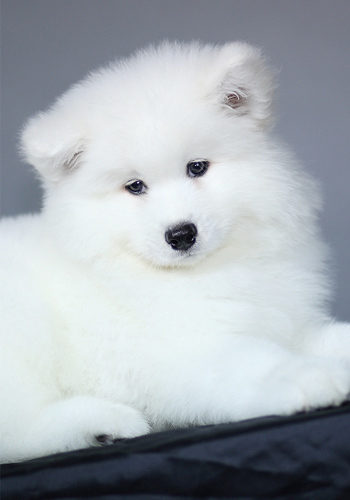 �̵������ﹷ����10��ô�-���������ĵ�