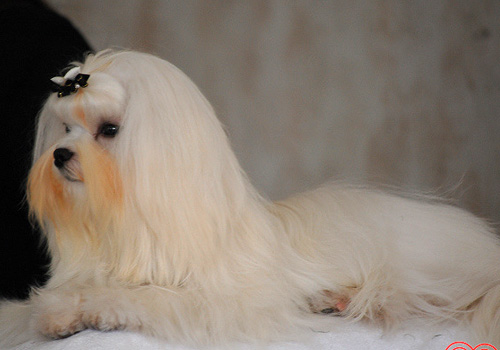 �ﹷ����ǲ��į����󷽷�-���������ĵ�