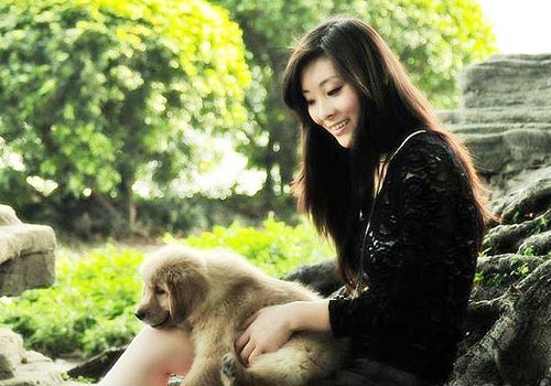 ������Yes or No����ѵ����-����ѵ������