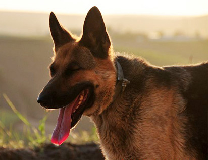 ����ù��������ҽУ�-����ѵ������