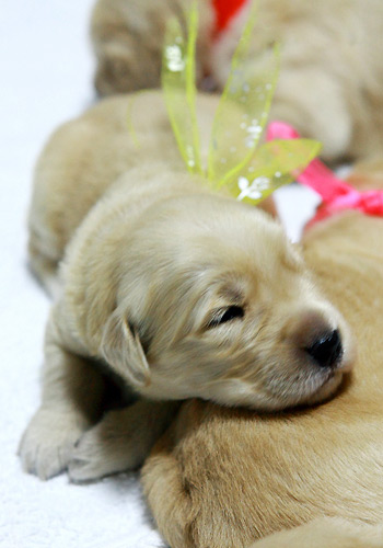 ������ë�ڵĻ���֪ʶ-�������ݻ���