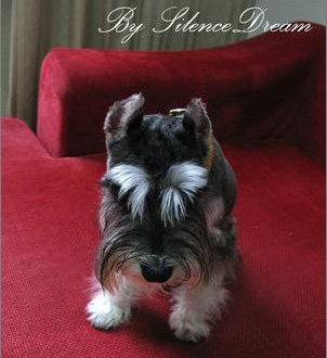 ������ù����Ľ�������Ա?-�������ݻ���