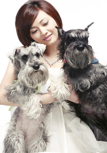 9种常见宠物美容问题-狗狗美容护理