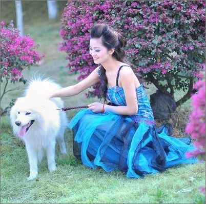 ������ĦҮ����ָ��-�������ݻ���