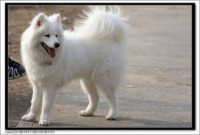 ѧ�ᶨ�ڸ�����ϴ��-�������ݻ���