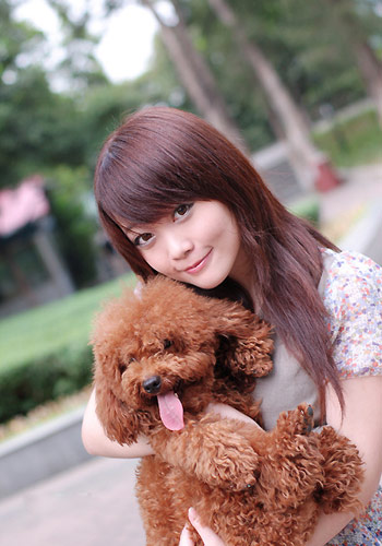 通过尿液判断狗狗是否健康-狗病防治