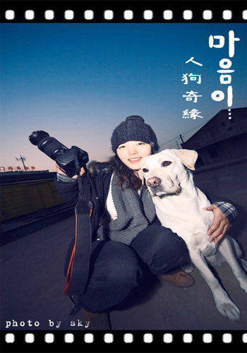 ����Ȯ����Ԥ������������-��������