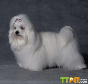 ������˹Ȯ����