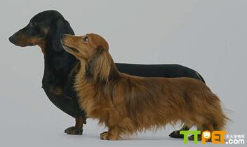 ����Ȯ����