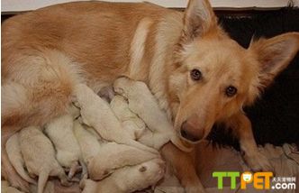 ����Ȯ���ж���Ǯ