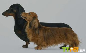 ����Ȯ׽����
