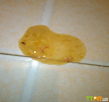 ������ϡ��Ѫ��ô����