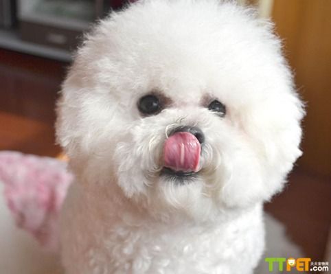 ���ֱ���Ȯ����Ǯ