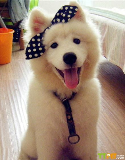 ��ĦҮ���ݶ���Ǯ