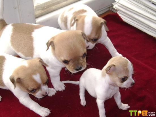 ����������ʱ��